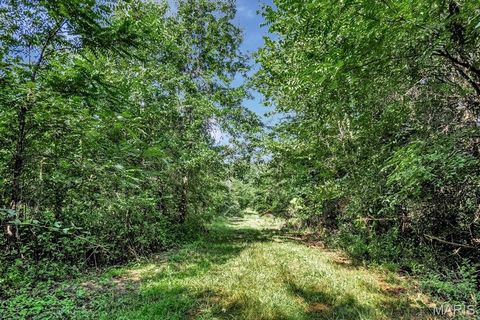 Tiny photo for 0 Cave Farm Rd. (49.91+/- Acres), Troy, MO 63379 (MLS # 25063998)