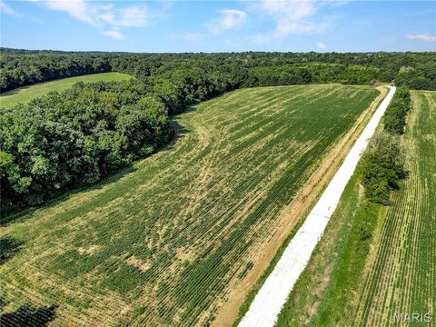 Tiny photo for 0 Cave Farm Rd. (49.91+/- Acres), Troy, MO 63379 (MLS # 25063998)