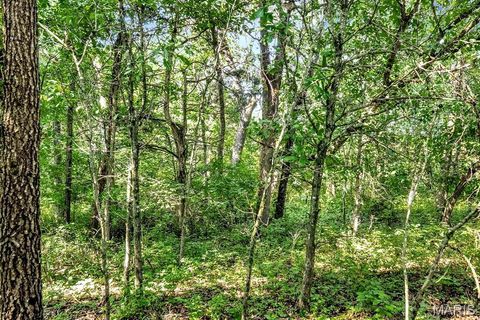Tiny photo for 0 Cave Farm Rd. (49.91+/- Acres), Troy, MO 63379 (MLS # 25063998)