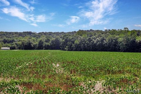 Tiny photo for 0 Cave Farm Rd. (49.91+/- Acres), Troy, MO 63379 (MLS # 25063998)