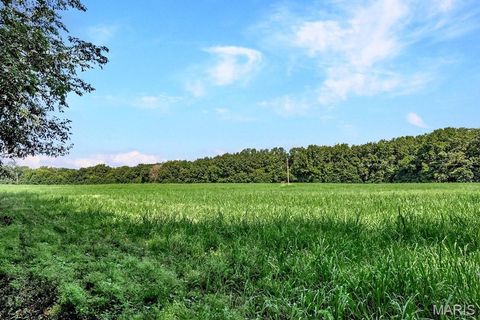 Tiny photo for 0 Cave Farm Rd. (49.91+/- Acres), Troy, MO 63379 (MLS # 25063998)