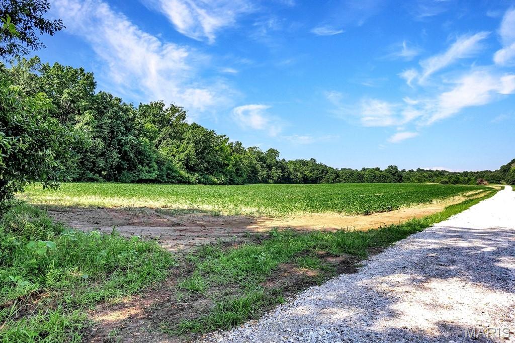 0 Cave Farm Rd. (49.91+/- Acres)