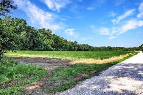 Tiny photo for 0 Cave Farm Rd. (49.91+/- Acres), Troy, MO 63379 (MLS # 25063998)
