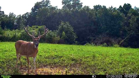 Tiny photo for 0 Cave Farm Rd. (49.91+/- Acres), Troy, MO 63379 (MLS # 25063998)