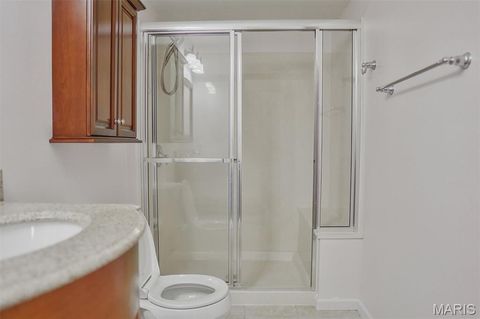 Tiny photo for 1341 Cherry Glen Court, Chesterfield, MO 63017 (MLS # 26009473)