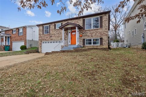 Photo of 330 Oak Tree Drive, Webster Groves, MO 63119 (MLS # 25082161)