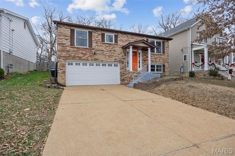 Tiny photo for 330 Oak Tree Drive, Webster Groves, MO 63119 (MLS # 25082161)