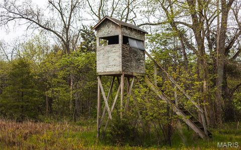 Tiny photo for 4386 Durbin Road, Bland, MO 65014 (MLS # 26023208)