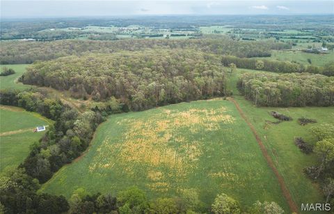 Tiny photo for 4386 Durbin Road, Bland, MO 65014 (MLS # 26023208)