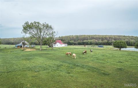 Tiny photo for 4386 Durbin Road, Bland, MO 65014 (MLS # 26023208)