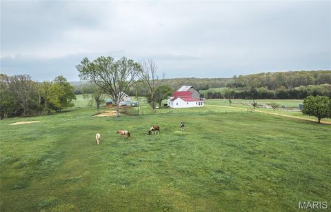 Tiny photo for 4386 Durbin Road, Bland, MO 65014 (MLS # 26023208)