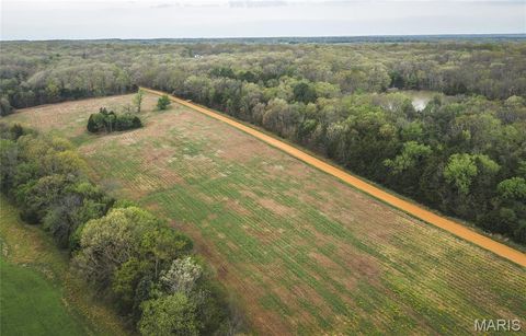 Tiny photo for 4386 Durbin Road, Bland, MO 65014 (MLS # 26023208)