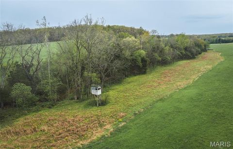 Tiny photo for 4386 Durbin Road, Bland, MO 65014 (MLS # 26023208)