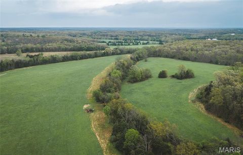 Tiny photo for 4386 Durbin Road, Bland, MO 65014 (MLS # 26023208)