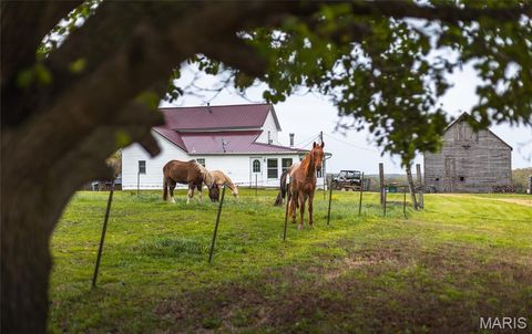 Tiny photo for 4386 Durbin Road, Bland, MO 65014 (MLS # 26023208)