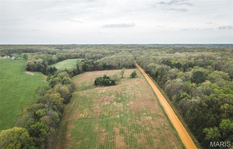 Tiny photo for 4386 Durbin Road, Bland, MO 65014 (MLS # 26023208)
