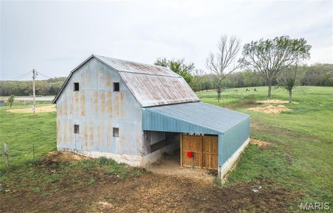 Tiny photo for 4386 Durbin Road, Bland, MO 65014 (MLS # 26023208)