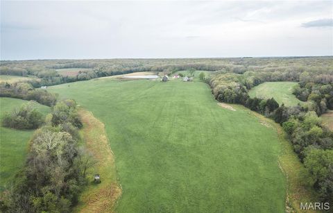 Tiny photo for 4386 Durbin Road, Bland, MO 65014 (MLS # 26023208)