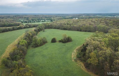 Tiny photo for 4386 Durbin Road, Bland, MO 65014 (MLS # 26023208)