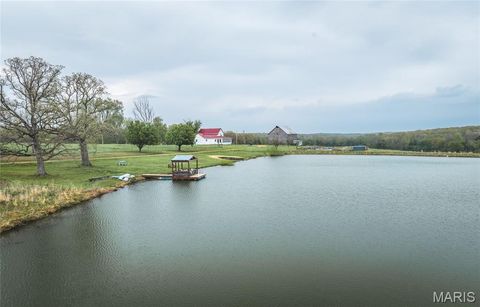 Tiny photo for 4386 Durbin Road, Bland, MO 65014 (MLS # 26023208)