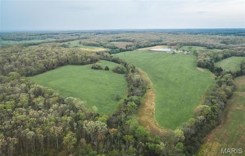 Tiny photo for 4386 Durbin Road, Bland, MO 65014 (MLS # 26023208)