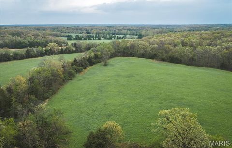 Tiny photo for 4386 Durbin Road, Bland, MO 65014 (MLS # 26023208)