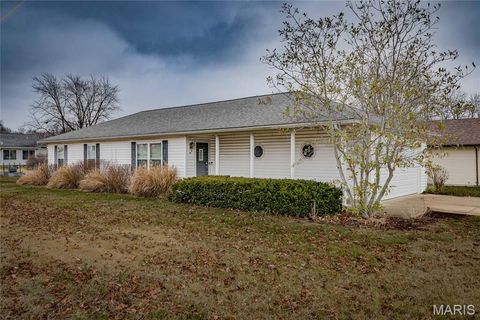 Photo of 507 Pine Street, Farmington, MO 63640 (MLS # 25082403)