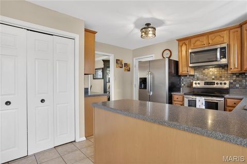 Tiny photo for 15489 Long Castle Forest Court, Chesterfield, MO 63017 (MLS # 26026822)