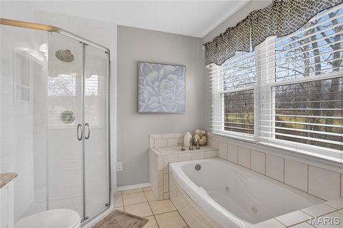 Tiny photo for 15489 Long Castle Forest Court, Chesterfield, MO 63017 (MLS # 26026822)