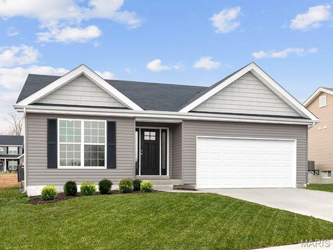 486 Austin Drive Truesdale MO 63380