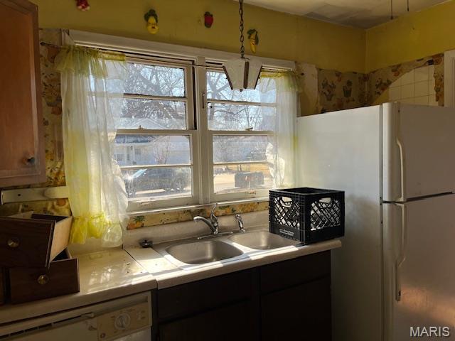 Berkley Garden Homesites - Residential