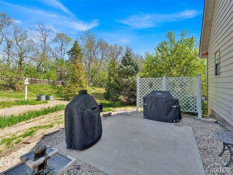 Tiny photo for 16773 Babler View Drive, Wildwood, MO 63011 (MLS # 26019552)