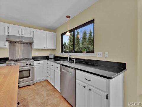 Tiny photo for 16773 Babler View Drive, Wildwood, MO 63011 (MLS # 26019552)