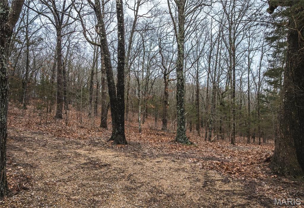 Photo of 8184 Highway 185, Leslie, MO 63056 (MLS # 26013152)