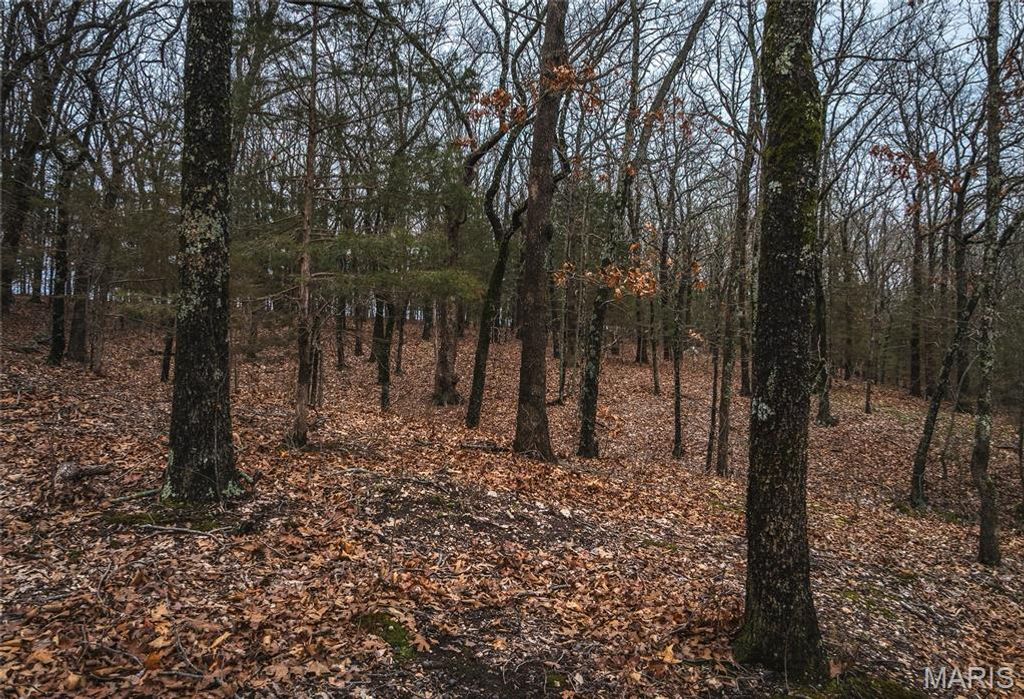 Photo of 8184 Highway 185, Leslie, MO 63056 (MLS # 26013152)