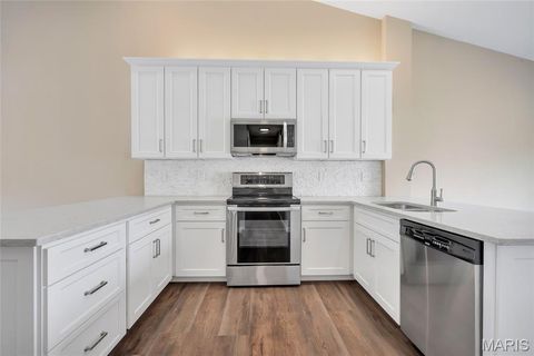 Tiny photo for 843 Whispering Village Circle, Ballwin, MO 63021 (MLS # 25066151)