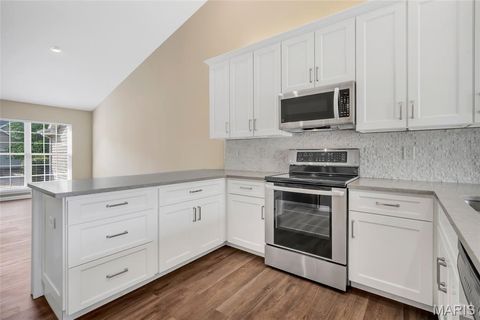 Tiny photo for 843 Whispering Village Circle, Ballwin, MO 63021 (MLS # 25066151)