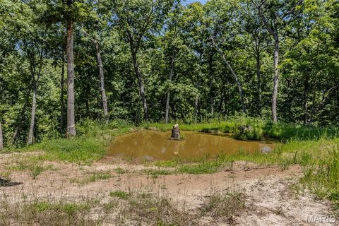 Tiny photo for 2962 County Road 496, New Bloomfield, MO 65063 (MLS # 26030778)