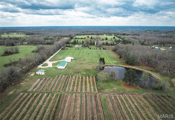 552 LICK CREEK RD, LEASBURG, MO 65535 - Image 72f4d05ca80a00a1ac98c6dd2e8b2ccb/2240775986