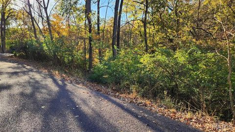 818 West Gray Friar Marthasville MO 63357