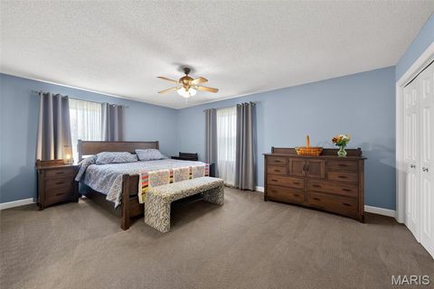 Tiny photo for 4 Palomino Court, Wentzville, MO 63385 (MLS # 26020928)