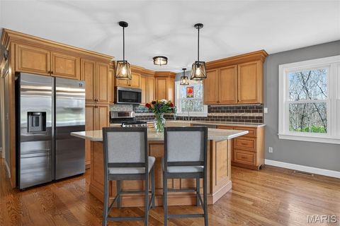 Tiny photo for 4 Palomino Court, Wentzville, MO 63385 (MLS # 26020928)