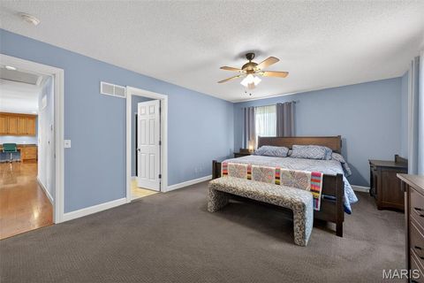 Tiny photo for 4 Palomino Court, Wentzville, MO 63385 (MLS # 26020928)