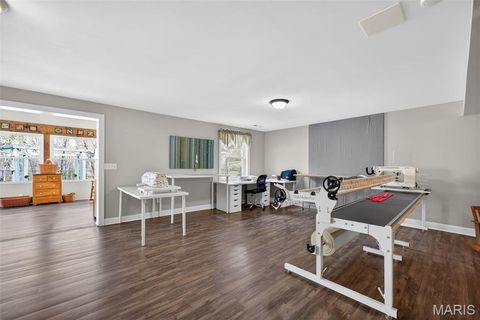 Tiny photo for 4 Palomino Court, Wentzville, MO 63385 (MLS # 26020928)