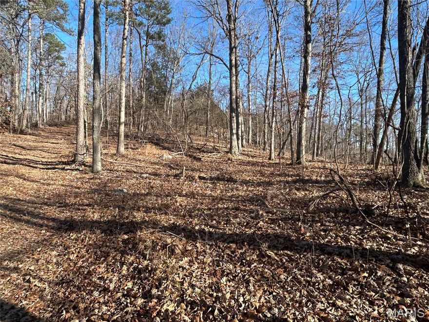 This wooded rural acreage near Mark Twain National Forest offers a fantastic opportunity for outdoor enthusiasts and nature lovers. With a deeded easement via gravel road off Madison CR 411, the property features natural rock outcroppings, cleared log landings from selective timber harvests, and preserved natural beauty. The versatile lot is ideal for hunting, camping, off-grid living, or ATV riding, making it a perfect retreat with endless possibilities for recreation and solitude.  Lot is part of a larger tract of land.  Lot to be surveyed prior to closing; see survey pricing sheet.