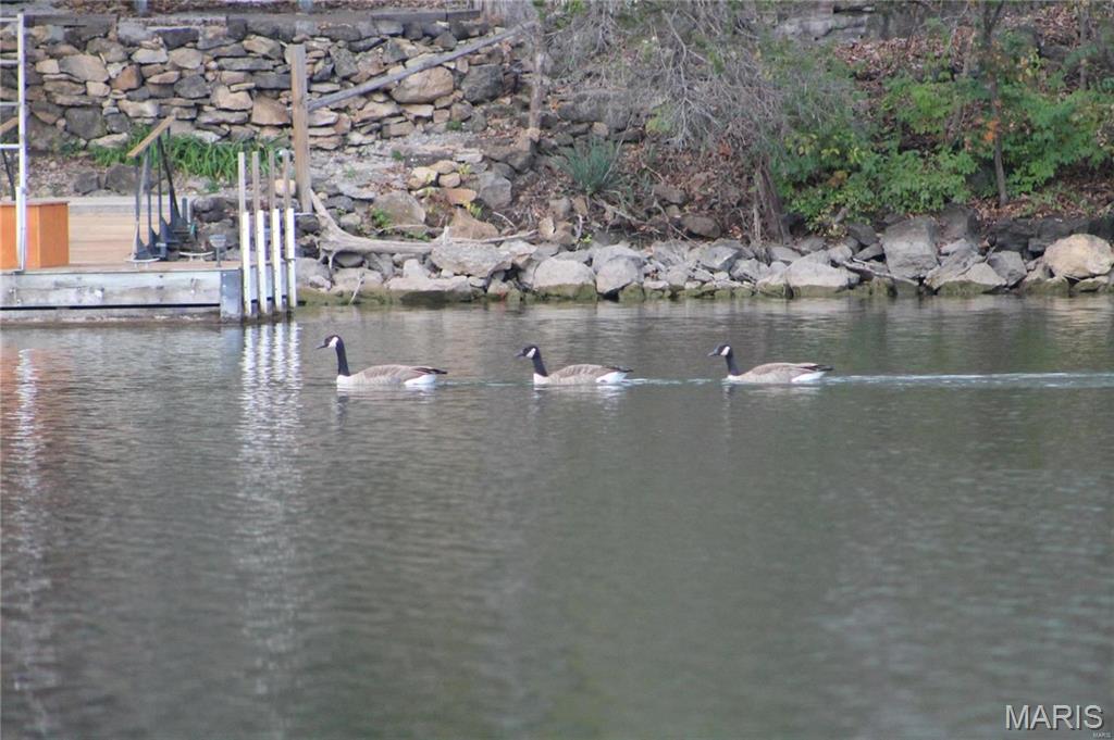 Lake Sherwood Estates - Land