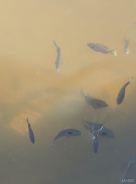 Lake Sherwood Estates - Land