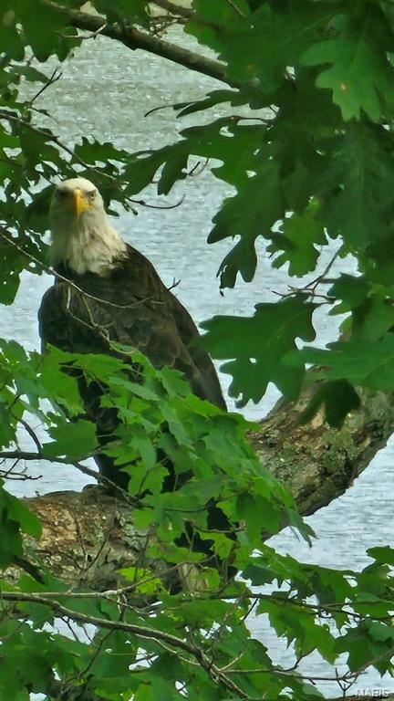 Lake Sherwood Estates - Land
