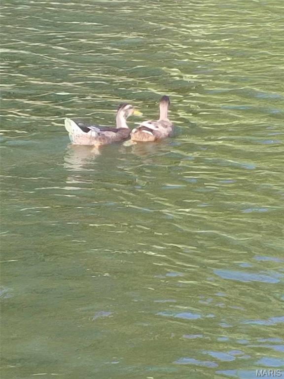 Lake Sherwood Estates - Land