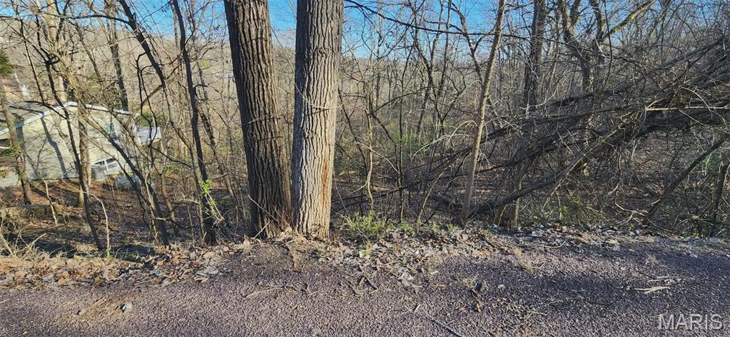 Lake Sherwood Estates - Land